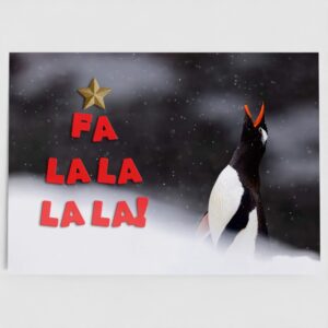 Penguin Christmas Card!
